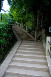 大阪　Webﾋﾞｼﾞﾈｽｱﾄﾞﾊﾞｲｻﾞｰ-階段